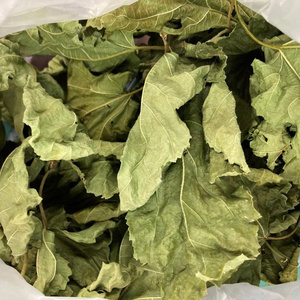 พบกับใบหม่อนแห้งจากเวียดนามสำหรับดื่มชาในราคาโรงงานที่น่าสนใจ - Product Image 4