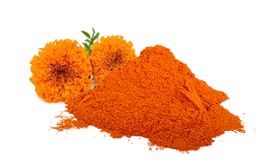 Pétalos de Caléndula Secos Orgánicos de Primera Calidad, Extracto Herbal Silvestre Cultivado, Molido Fino, Color Naranja, Flor de Caléndula - Product Image 2