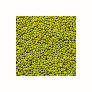 ถั่วเขียวสีเขียวสูงขึ้น3.25มม. - Product Image 2