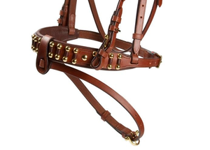 Longe de cheval en cuir de qualité authentique, forme anatomique durable avec un design époustouflant, caractéristique de course, couleur et taille personnalisées - Product Image 4