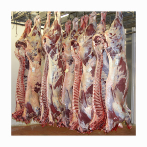 Top Grade Beef Carcass Wholesale Stock With Reliable Supply - Product Image 4