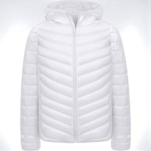 2025 nouveauté doudoune hommes haute qualité à capuche vers le bas logo personnalisé vestes de mode de qualité supérieure - Product Image 3