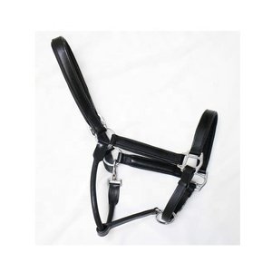 Stitched Leather Horse Riding Equestrian Horse <b>Halter</b> - Product Image 5