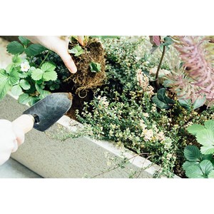 Garden <b>Trowel</b> Durable Garden Scoop <b>Trowel</b> Super Strong Planting <b>Trowel</b> For Professional, Household Use - Product Image 5