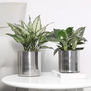 Handcrafted Metal Flower <b>Vase</b> Elegant Contemporary Design for Home & Office Decoration Piece for Apartments big wholesaler - Product Image 1