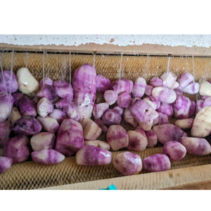 Igname douce congelée avec une teinte violet foncé, prête à l'exportation dans des sacs sous vide ou en poly, idéale pour la cuisson et les recettes traditionnelles - Product Image 3