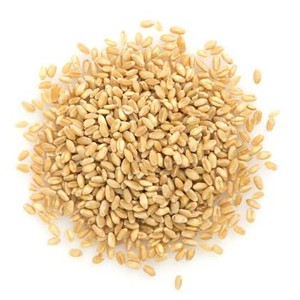 Bon vendeur de haute qualité, blé dur Original en vrac, bon prix disponible - Product Image 1