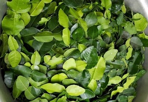 Hoja de Limón Seca del Delta de Vietnam |   Directo de Fábrica - Product Image 3