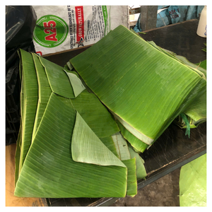 ใบกล้วยเกรดสูงสำหรับการส่งออกใช้ห่ออาหารจัดเลี้ยงอาหารและกิจกรรมแบบดั้งเดิม - Product Image 6