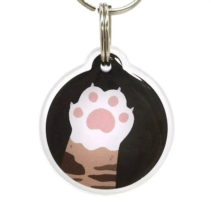 Smart NFC NTAG213 metallo epossidico Qr codice Pet Dog Id Tag portachiavi