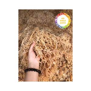 COTTONII SÉCHÉ AU SOLEIL NATUREL D'ALGUES DU VIETNAM SOURCE DE MOUSSE DE MER SÉCHÉE EN GROS POUR LA PRODUCTION ALIMENTAIRE INDUSTRIELLE - Product Image 1