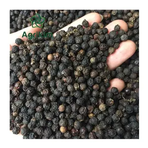Hot Sale Black pepper FAQ Wholesale Spice Dried Black Pepper High Quality Genuine Cheap Price From VIetnam