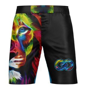 Custom Sublimated <b>Combat</b> Sports MMA <b>Shorts</b> Reinforced Stitching Satin Polyester Cartoon Pattern Breathable Windproof Drawstring - Product Image 1