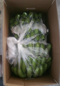 Banane Cavendish fraîche du Vietnam, issue de fruits de qualité, pour la transformation alimentaire, les cuisines commerciales et les acheteurs mondiaux - Product Image 4