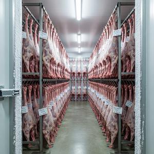 Hoy solo Cuerpo de cordero completo congelado de primera calidad, entrega rápida de exportación, el mejor precio al por mayor, suministro a granel de carne de oveja de alta calidad - Product Image 4