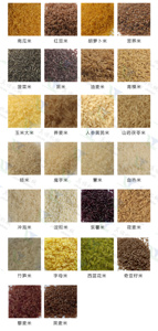 เครื่องทำข้าวพองอัตโนมัติ สายการผลิตขนมขบเคี้ยวแบบพองตัว เครื่องอัดรีดข้าวเสริมสารอาหารแบบสกรูคู่ - Product Image 3