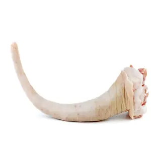 High quality wholesale price frozen pig tail meat pork tail Frozen Pork hind fee Cheap Price
