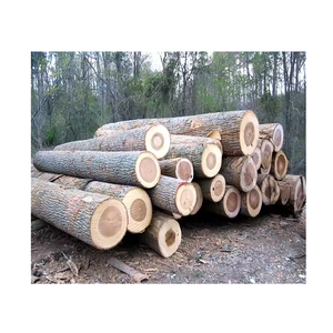 Troncos de Abedul - Product Image 1