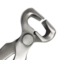 Pince à sabots à tête conique et arrondie, durable, réutilisable, en acier forgé, outil de fermeur pour le soin des sabots et la forgeage de fer à cheval