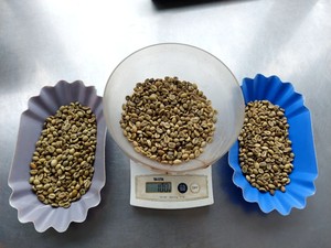 เมล็ดกาแฟโรบัสต้า อาราบิก้า ออร์แกนิคคุณภาพสูง แปรรูปโดยตรงจาก Agrikim เวียดนาม ราคาแข่งขัน มีตัวอย่างฟรี บรรจุในถุงสีเขียว - Product Image 3