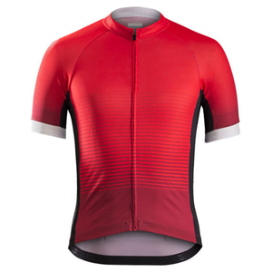 2025 nouveauté haute qualité respirant séchage rapide 100% polyester maillot de cyclisme léger Logo personnalisé usine pas cher prix pour - Product Image 1