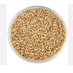 Ukraine thức ăn hữu cơ tự nhiên hạt lúa mì cấp một thức ăn chăn nuôi lúa mì 50 kg bao bì/Hạt lúa mì cứng dài - Product Image 1
