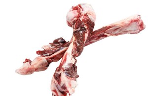 Fresh Red Deer Bones Premium Animal Extract Producto 2 años registros - Product Image 4