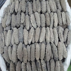 Emballage sous vide de concombre de mer congelé de haute qualité 24 mois de durée de conservation à vendre en stock avec livraison rapide au meilleur prix - Product Image 1