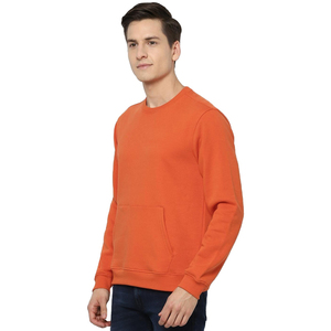 100% coton hommes pull sweat personnalisé imprimé brodé uni teint col rond longue polaire hiver solide thermique écologique - Product Image 4