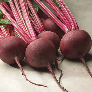 Remolacha roja rica en nutrientes: vegetal de uso común con hierro, fósforo y potasio - Product Image 1