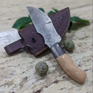 Juego de Cuatro Piezas de Cuchillos de Acero Inoxidable de Alta Calidad - Mango de Madera Exótica, Ligero y Duradero, Incluye Funda - Product Image 1