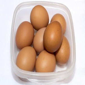 Œufs frais à coquille blanche 50-70g - Product Image 1