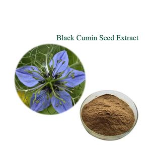 Fornecimento Fabricante Nigella Sativa Extrato 5% 10% Thymoquinone Preto Cominho Semente Extrato Em Pó - Product Image 2