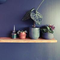 Estante Flotante de Pared de Madera Natural Hecho a Mano de Calidad de Exportación, Ecológico y Duradero, con Borde Natural, Diseño Art Deco Rectangular, Diwali