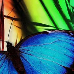 Dtg kỹ thuật số in người đàn ông thời trang dạo phố tùy chỉnh đồ họa T-shirt với unisex biểu đồ kích thước - Product Image 4