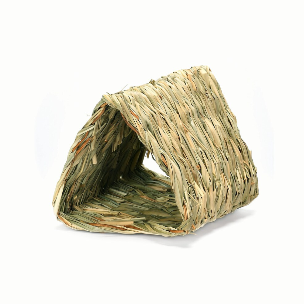 ธรรมชาติ