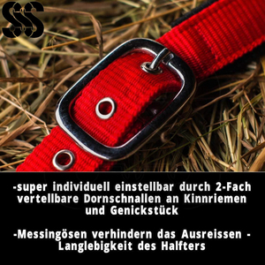 En gros, Nouvelle Tendance : Licol pour Cheval en Nylon Robuste pour Usage Quotidien, avec Option Cuir Véritable, Rembourré et Ajustable - Product Image 2