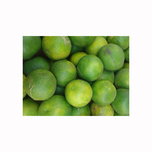 Natural <b>fresh</b> sweet lime premium juicy aromatic citrus <b>fruit</b> bulk produce wholesale exporters - Product Image 5