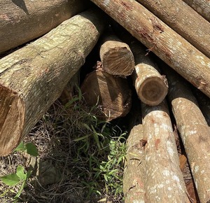 Vietnamese Origin Natural Wooden Piles <b>Garden</b> <b>Supplies</b> - Product Image 5