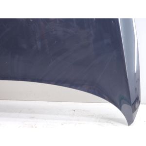CAPÓ DELANTERO DEL MOTOR KIA Sportage Serie 664003W000 (10>16) - Product Image 2