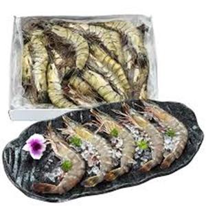 Restock de Crevettes Frozen Black Tiger à des prix abordables - Product Image 1
