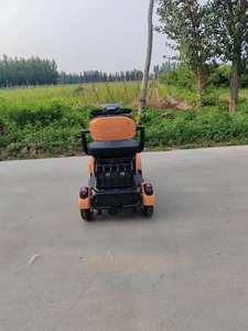 Tricycle électrique pour adultes 600W à vitesse unique 48V, design à carrosserie ouverte, cadre en acier à haute teneur en carbone, frein à tambour, roue 300-8 EN STOCK - Product Image 2
