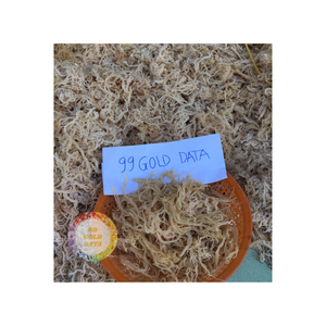 PRIX DE GROS DE HAUTE QUALITÉ ALGUES DE COTON SEC VENTE CHAUDE ALGUES D'EUCHUMA COTTONII SÉCHÉES DU VIETNAM - Product Image 6