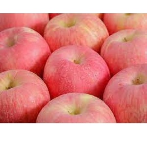 Cung cấp bán buôn của màu đỏ hữu cơ ngon và Gala táo táo hữu cơ Fuji ngọt táo đỏ tươi hữu cơ - Product Image 5