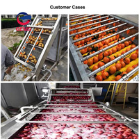 Commerciële Fruit Wassen En Waxen Machine Verkoop Dragon Fruit Wasmachine Cactusvijg Peer Wassen Pruim Reinigingsmachine