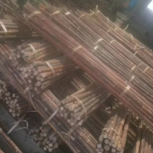 หวายดิบเป็นรูปเวียดนามสินค้าเกษตรหวายดิบ - Product Image 3