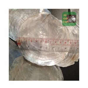 VIETNAM MEILLEURE VENTE CLEAR CAPIZ SEASHELL POUR LA DÉCORATION DE LA MAISON CARILLON À VENT CAPIZ SEASHELL POUR LA CONCEPTION DE LA MAISON TENSION MURALE - Product Image 3