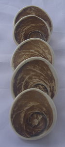 Coquille d'overcolum espèce turbo BIJOUX DE COQUILLE Petits types coquillage coquille mobile casque naturel porte overcolum - Product Image 4