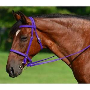Juego de resistencia para montar a caballo inglés multifuncional más vendido, brida Martingale Multicolor totalmente ajustable, riendas listas para enviar - Product Image 4