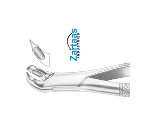 Pince d'extraction en acier inoxydable de haute qualité WOODWARD molaires inférieures fig 335/FH Fabricant et exportateur d'instruments chirurgicaux - Product Image 4